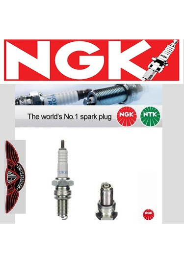 NGK DR8ES-L 2923 Buji